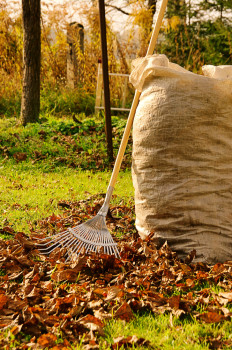Keep the yard beautiful for fall
