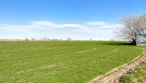 Evans Ranch 0 FM 121, Tioga 1