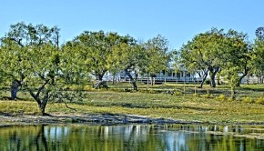 ADAO Ranch- 0 CR 203 in Burnet - homes and ranches for sale in Texas, Briggs Freeman Sotheby's - lake front