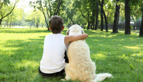 Dog Parks Are For People Too - Best Dog Parks in Dallas