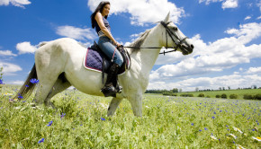 Saddle Up in South Dallas - Great Trinity Forest Gateway and Horse Trails - Horseback Riding, Dallas Parks