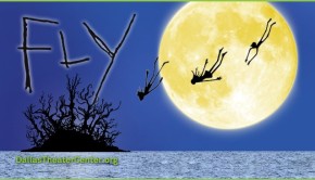 Visit Neverland this Summer with Fly at the Wyly Theater - Dallas Theater Center Summer 2013 Plays and Performances