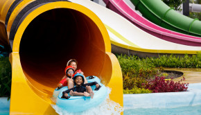Top Places for Family Fun in Dallas This Summer - shutterstock_134933759
