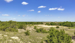Diversity Ranch - 2596 County Road 398 - Briggs Freeman Sotheby's International Realty luxury homes for sale in Dallas Fort Worth - land