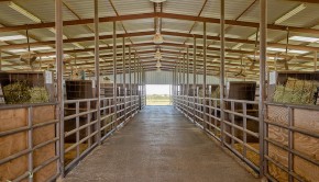 News From Ranch and Land in DFW