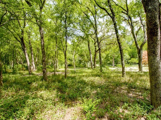 4623 Wildwood Road in Bluffview - Briggs Freeman Sotheby's luxury homes in Dallas Fort Worth - land lot