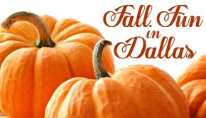 Fall Fun in Dallas - Autumn 2013 events Dallas Fort Worth Texas- shutterstock_60615121