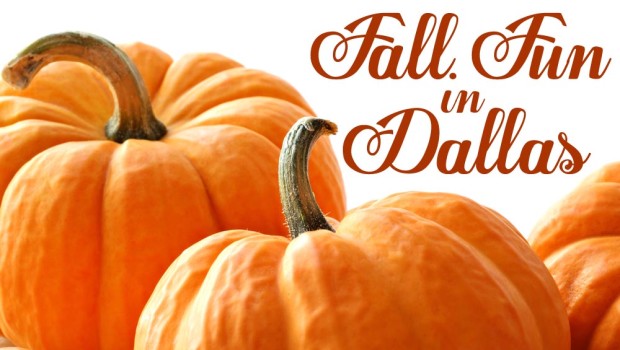 Fall Fun in Dallas - Autumn 2013 events Dallas Fort Worth Texas- shutterstock_60615121