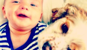 shep-and-woody- Lindsey Crouch