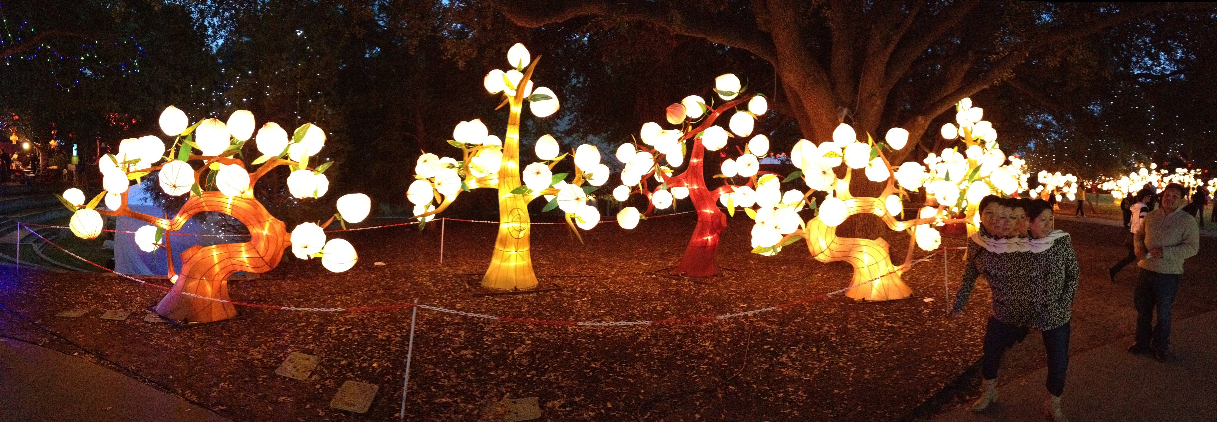Chinese-Lantern-Festival-at-Fair-Park2