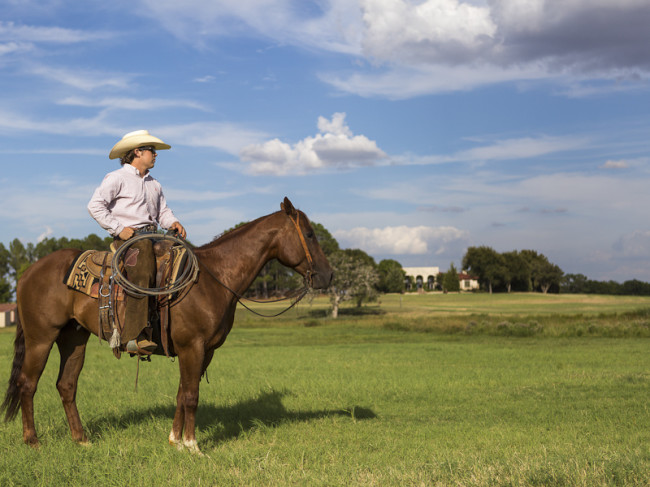 Circle Y Ranch - 460 U.S. Highway 377 Aubrey - Ranches for Sale in Dallas Fort Worth -horse