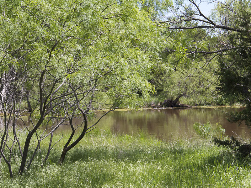 Red Cedar Ranch, CR 3137, Gordon, 76472, Briggs Freeman Sotheby's luxury home for sale in Dallas Fort Worth-lake