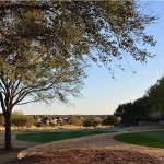 35_12-harbour-town-ct-frisco-tx-High-Res_(1)_hires-resized
