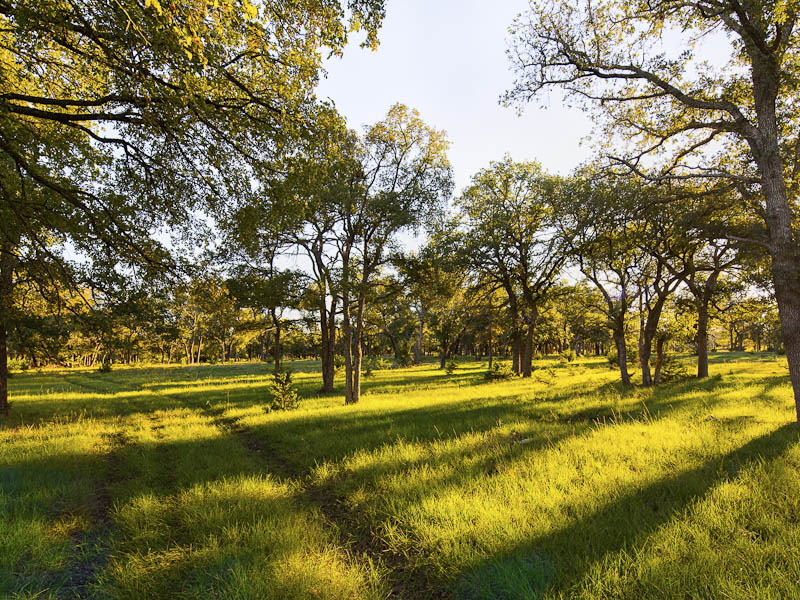 0 Highway 195 - Williamson County - Briggs Freeman Sotheby's luxury ranch for sale in Texas-land