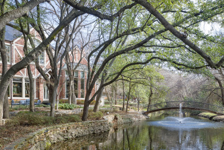 9250 Meadowbrook Drive Dallas 75220 - Preston Hollow - Briggs Freeman Sotheby's luxury home for sale in Dallas Fort Worth - exterior
