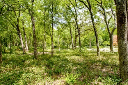 4623 Wildwood Road in Bluffview - Briggs Freeman Sotheby's luxury homes in Dallas Fort Worth - land lot