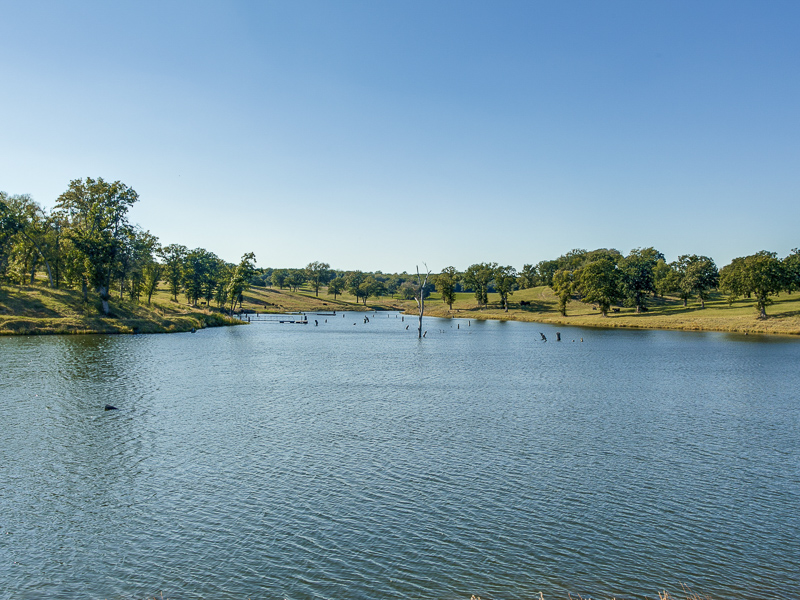 Circle 12 Ranch, 18901 Bradshaw Lane Thackerville 73459, Angie Nelson, Briggs Freeman Sotheby's luxury home for sale in Dallas Fort Worth-lake