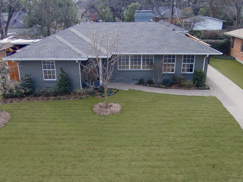 6446 Runnemede Drive Dallas 75214, Lakewood, Scott Carlson, Briggs Freeman Sotheby's luxury home for sale in Dallas Fort Worth-exterior