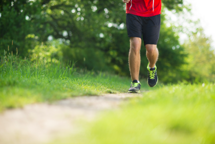 Jogging path - shutterstock_140294185