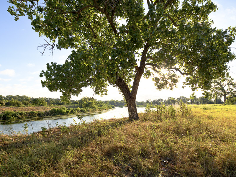 Moon River Ranch 0 417A , Satin, Briggs Freeman Sotheby's luxury home for sale in Dallas Fort Worth-tree