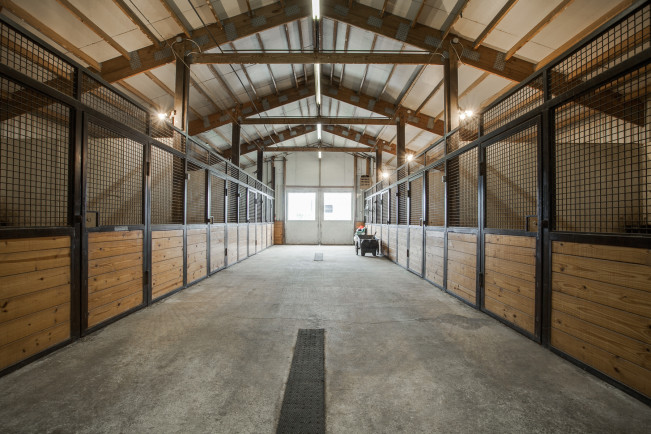 10031 Strittmatter Road 76258, Pilot Point, Brenda Moerschell, Briggs Freeman Sotheby's luxury home for sale in Dallas Fort Worth-stables