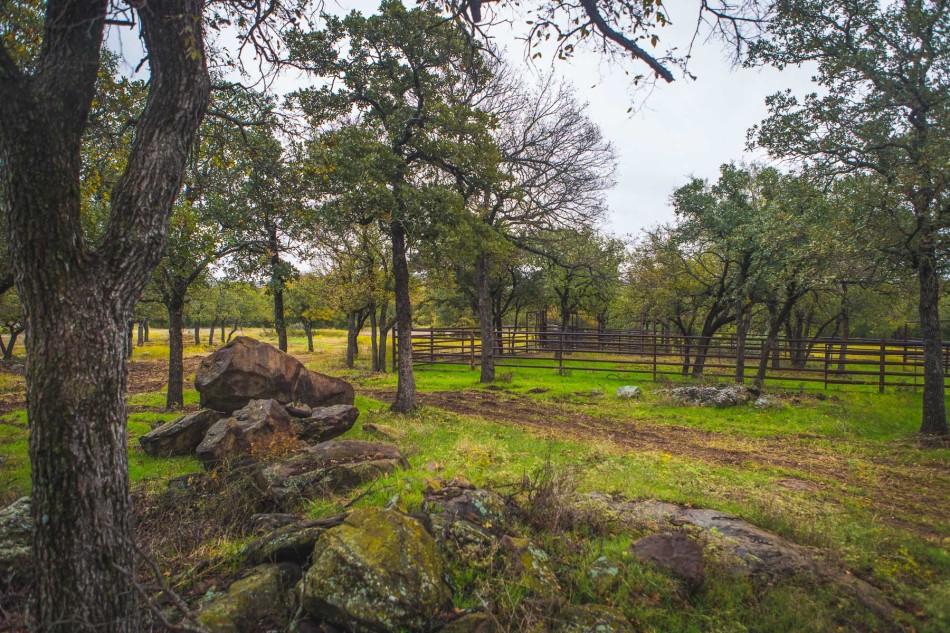 Santo Estate, 16045 S FM 4 76472, David Burgher, Briggs Freeman Sotheby's luxury homes for sale in Santo-fence