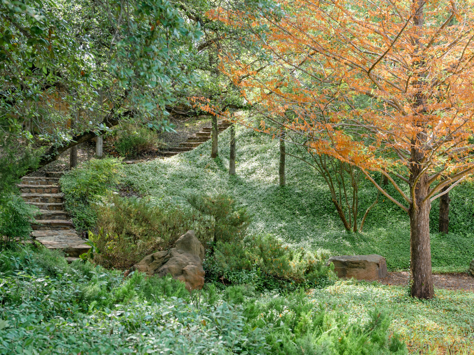 1007 Brae Court 76111, Oakhurst, Nanette Luker, Briggs Freeman Sotheby's luxury home for sale in Fort Worth-stairs