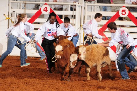 1-25-15-CP-0145 Calf Scramble