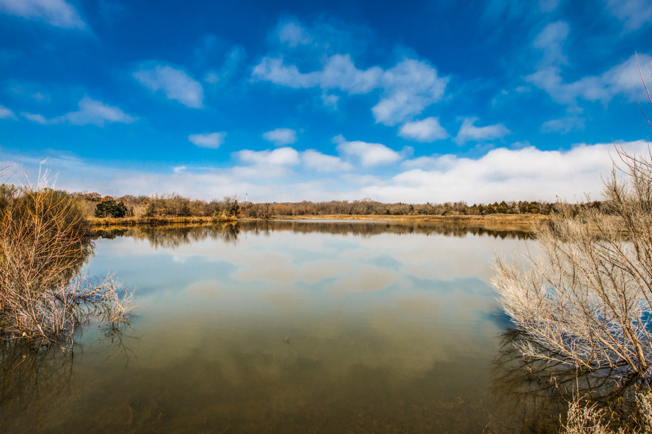 7317 FM 3136 76009, Dax Pass, Briggs Freeman Sotheby's luxury homes for sale in Alvarado-pond