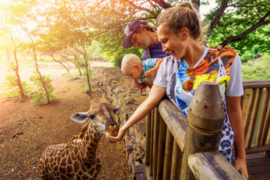 Feeding giraffes at the zoo - Briggs Freeman Sothebys' International Realty - shutterstock_372305713